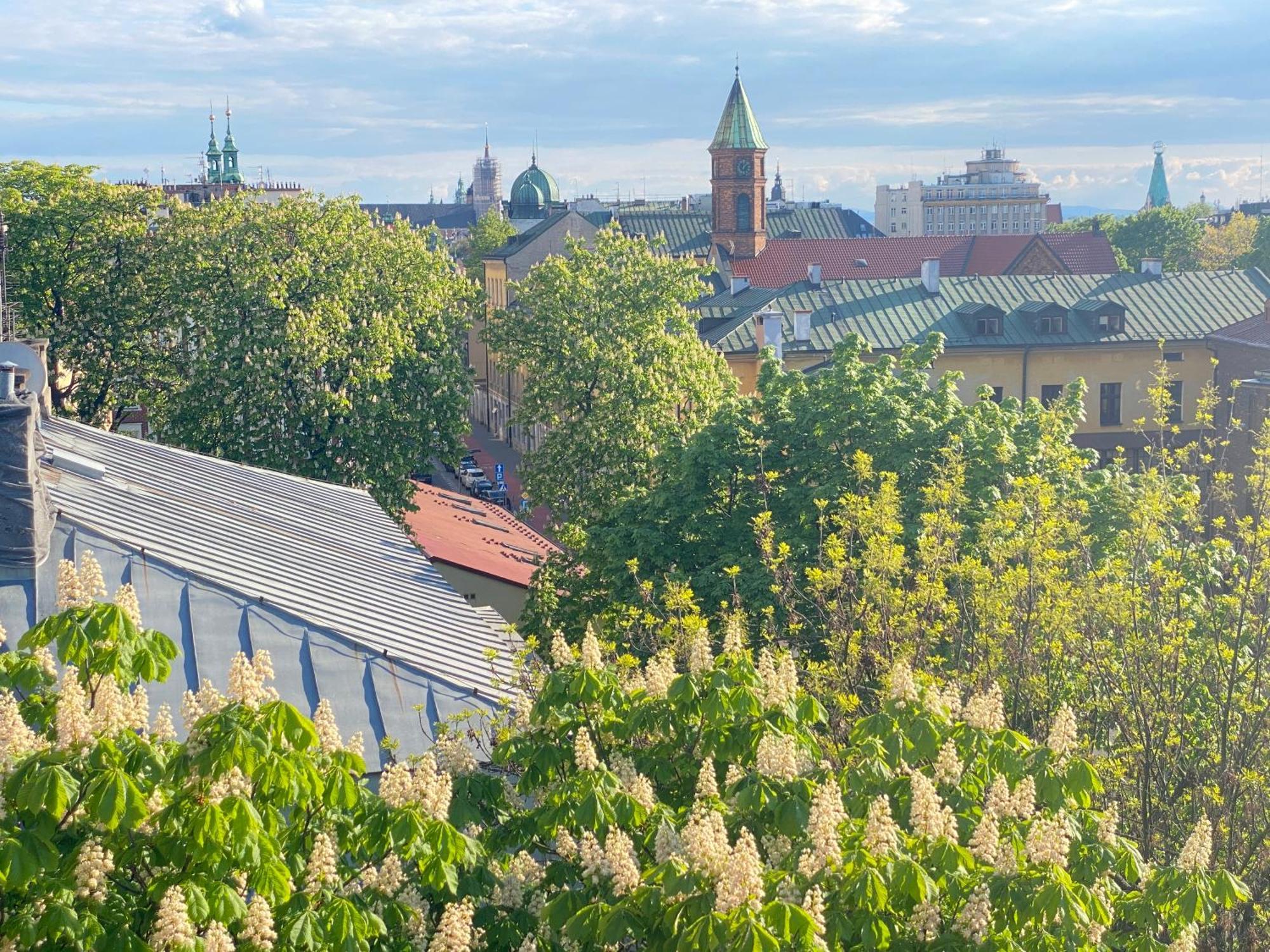 Angel Mint Apartment - Free Parking - Balcony Cracovie Extérieur photo